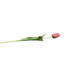 SILK WITH REAL TOUCH SINGLE TULIP STEM FLORAL/GREENERY RED 26.75