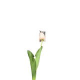 SILK WITH REAL TOUCH SINGLE TULIP STEM FLORAL/GREENERY PINK 26.75"