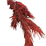 CRIMSON FOAM FLOWER FLORAL/GREENERY 44"