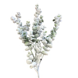SNOWY FLOCKED EUCALYPTUS STEM FLORAL/GREENERY 32"
