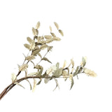 HOLLY LEAF STEM FLORAL/GREENERY CREAM/GOLD 36"