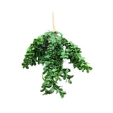 REAL TOUCH BOXWOOD PICK FLORAL/GREENERY 18"