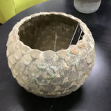 SCALLOPED GARDEN POT STONEWARE OUTDOOR/PATIO 9.5