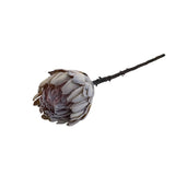 FLOCKED CREAN KING PROTEA STEM FLORAL/GREENERY