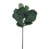 FIDDLE LEAF FIG SINGLE STEM FLORAL/GREENERY GREEN 51"