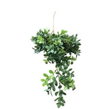 BOXWOOD SPRAY FLORAL/GREENERY 28"