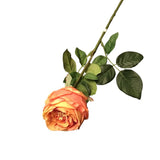 REAL TOUCH AUSTIN ROSE STEM FLORAL/GREENERY ORANGE 24"