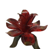 METAL POINSETTIA CANDLE HOLDER HOLIDAY DECOR RED/BRONZE