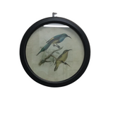 ROUND GLASS FRAMED BIRDS ART DISTRESSED BLACK MULTI 13.75"