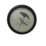 ROUND GLASS FRAMED BIRDS ART DISTRESSED BLACK MULTI 13.75"