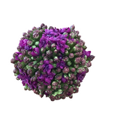 KALANCHOE BALL FLORAL/GREENERY PURPLE 4"