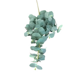 EUCALYPTUS SPRAY FLORAL/GREENERY GREEN 38.5"