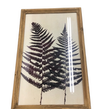 DRIED LEAF BUD STEM GLASS FRAMED ART CREAM BROWN 23.5" X 15"