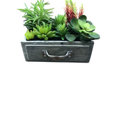 DRAWER WITH SUCCULENTS HOME DECOR BROWN/GREEN
