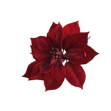 POINSETTIA PICK FLORAL/GREENERY RED 9"