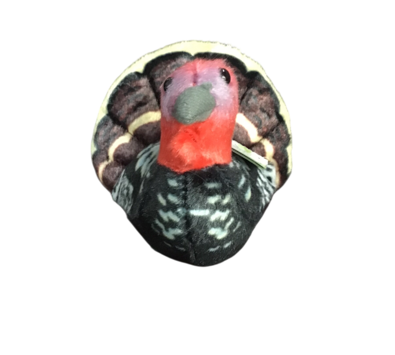 Slide image