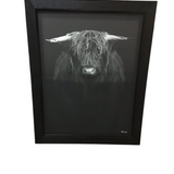 FRAMED BULL ART BLACK/WHITE 44 X 56