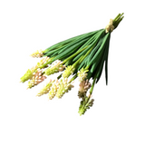 GRAPE HYACINTH BUNDLE FLORAL/GREENERY LT. PINK 10.5"
