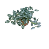 CERAMIC POTTED PLANTS #2 FLORAL/GREENERY