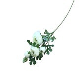 REAL TOUCH 5 HEAD RANUNCULUS STEM FLORAL/GREENERY WHITE 24.5"