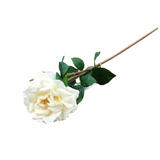 REAL TOUCH DISTANT DRUMS ROSE SPRAY FLORAL/GREENERY CREAM 20"