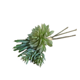 SUCCULENT BUNDLE (3 STEMS) FLORAL/GREENERY GREEN 14"