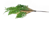 REAL TOUCH LADY FERN SPRAY FLORAL/GREENERY GREEN 46"