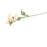 REAL TOUCH TRIPLE BLOOM RANUNCULUS STEM FLORAL/GREENERY PEACH 25"