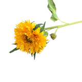 ASTER STEM FLORAL/GREENERY YELLOW 22"