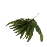 FISH BONE FERN STEM FLORAL/GREENERY GREEN 14.5