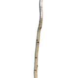 WOOD BIRCH POLES HOME DECOR CREAM/SILVER 48"