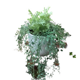 WITH CERAMIC POT FLORAL/GREENERY WHITE/GREEN 16H