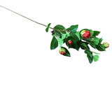 5 BUD PEONY STEM FLORAL/GREENERY RED 28"