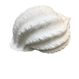 TONNA GALEA SHELL HOME DECOR 12.25 X 7.75