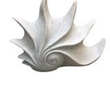 WAVED SHELL LAMP/LIGHTING 14.75 X 11"