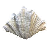 SHORELINE SHELL VASE HOME DECOR 21.25 X 12.5 X 13.75
