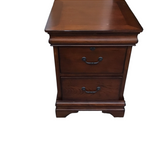 WITH 2 DRAWERS FILE CABINET DARK BROWN 26H X 33W X 33D