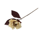 WHITE MAGNOLIA STEM FLORAL/GREENERY WHITE 34"