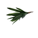 REAL TOUCH AGAVE FOLIAGE SPRAY FLORAL/GREENERY GREEN/GOLD 24"