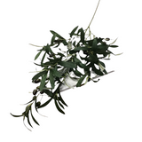 OLIVE LEAF SPRAY FLORAL/GREENERY OLIVE/GREEN 42"