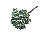 FLOCKED 5 HEAD SUCCULENT PICK FLORAL/GREENERY GREEN 12"