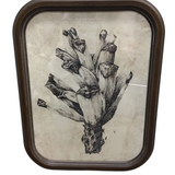 ROUNDED WOOD FRAMED PINECONE PRINT #1 ART 17.75