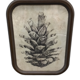 ROUNDED WOOD FRAMED PINECONE PRINT #2 ART 17.75