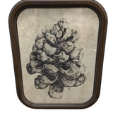 ROUNDED WOOD FRAMED PINECONE PRINT #4 ART 17.75