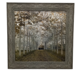 FRAMED HALL OF TREES ART NAT.WOOD/WHITE/GOLD 34 X34