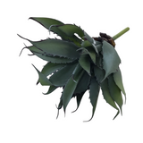 ALOE SUCCULENT PICK FLORAL/GREENERY LIGHT GREEN 10.25