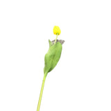 SILK WITH REAL TOUCH SINGLE TULIP STEM FLORAL/GREENERY YELLOW 26.75